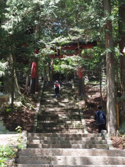 P5177270.jpg P5177270.jpg