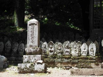 P5177273.jpg P5177273.jpg