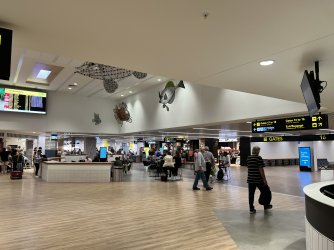 IMG_0305.jpeg