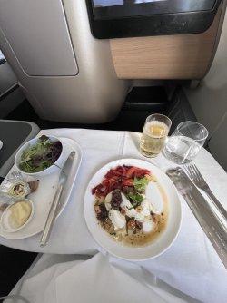 IMG_2072.jpeg IMG_2072.jpeg