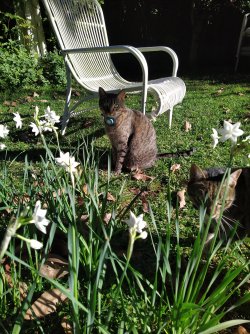 IMG_20240523_092552_1.jpg IMG_20240523_092552_1.jpg