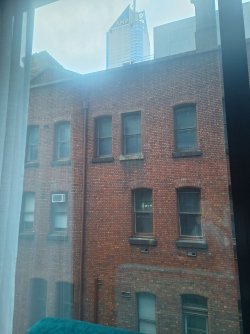 20240602_080038.jpg 20240602_080038.jpg