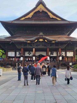 20240523_060403.jpg 20240523_060403.jpg