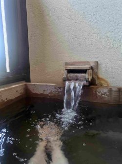 20240525_083803.jpg 20240525_083803.jpg