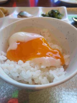 20240525_075219.jpg 20240525_075219.jpg