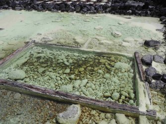 P5257643.jpg P5257643.jpg