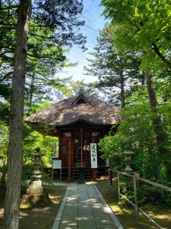 20240525_095433.jpg 20240525_095433.jpg