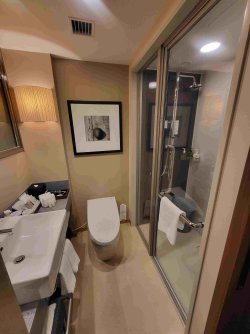 20240525_163618.jpg 20240525_163618.jpg