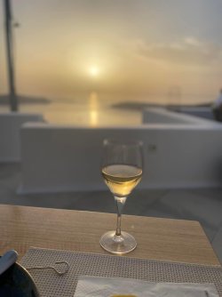 IMG_1671.jpeg IMG_1671.jpeg