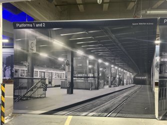 IMG_1388.jpeg IMG_1388.jpeg