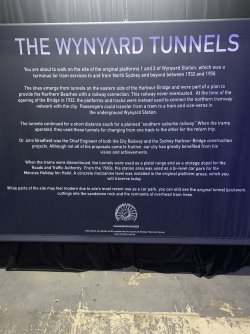 IMG_1386.jpeg IMG_1386.jpeg