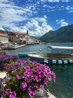 IMG_0656.jpeg IMG_0656.jpeg