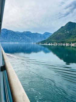 IMG_0612.jpeg IMG_0612.jpeg