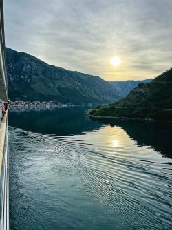 IMG_0602.jpeg IMG_0602.jpeg