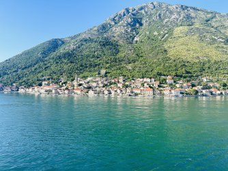 IMG_0678.jpeg IMG_0678.jpeg