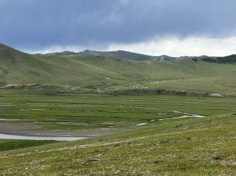 IMG_7106.jpeg IMG_7106.jpeg