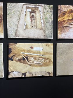 IMG_7108.jpeg IMG_7108.jpeg