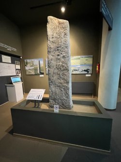 IMG_7109.jpeg IMG_7109.jpeg