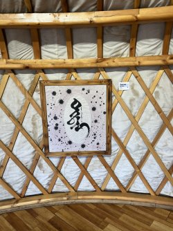 IMG_7120.jpeg IMG_7120.jpeg