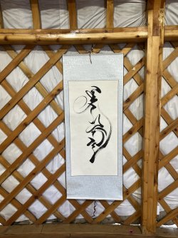 IMG_7125.jpeg IMG_7125.jpeg