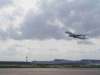 P5267694.jpg P5267694.jpg