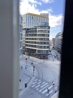 IMG_4705.jpeg IMG_4705.jpeg