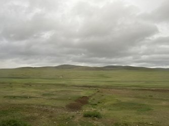 IMG_7145.jpeg IMG_7145.jpeg