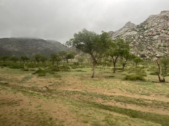 IMG_7160.jpeg IMG_7160.jpeg