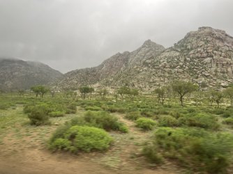 IMG_7161.jpeg IMG_7161.jpeg