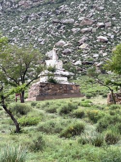 IMG_7171.jpeg IMG_7171.jpeg