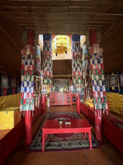 IMG_7166.jpeg IMG_7166.jpeg