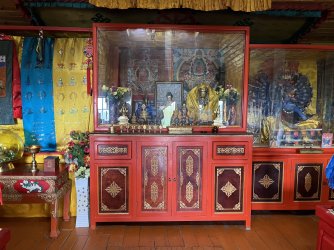 IMG_7168.jpeg IMG_7168.jpeg