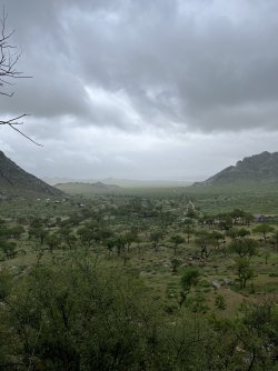 IMG_7176.jpeg IMG_7176.jpeg