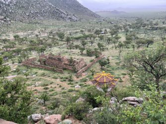 IMG_7178.jpeg IMG_7178.jpeg