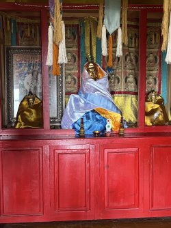 IMG_7180.jpeg IMG_7180.jpeg