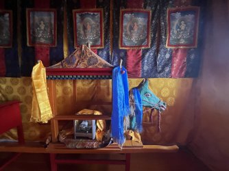 IMG_7185.jpeg IMG_7185.jpeg