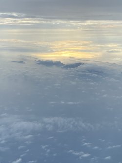 IMG_1366.jpeg IMG_1366.jpeg