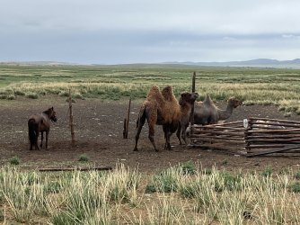 IMG_7199.jpeg IMG_7199.jpeg