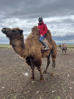 IMG_7206.jpeg IMG_7206.jpeg