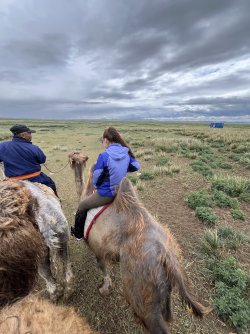 IMG_7208.jpeg IMG_7208.jpeg