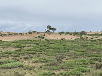 IMG_7211.jpeg IMG_7211.jpeg