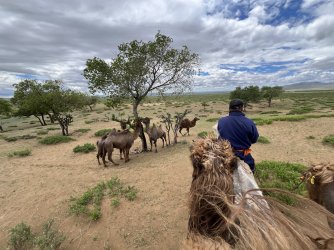 IMG_7227.jpeg IMG_7227.jpeg