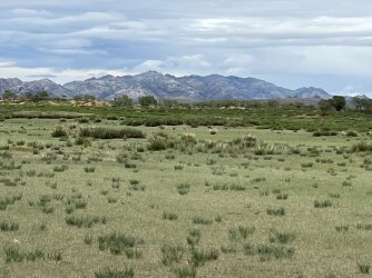 IMG_7234.jpeg IMG_7234.jpeg