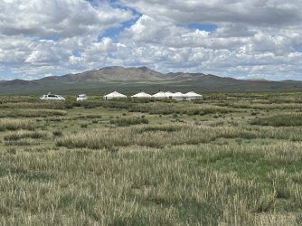 IMG_7241.jpeg IMG_7241.jpeg