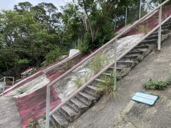 IMG_1384.jpeg IMG_1384.jpeg