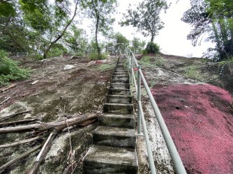 IMG_1387.jpeg IMG_1387.jpeg