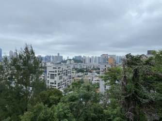 IMG_1386.jpeg IMG_1386.jpeg