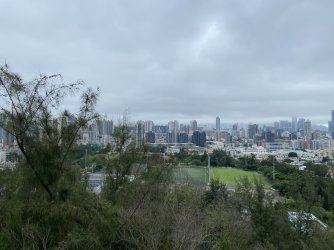 IMG_1385.jpeg IMG_1385.jpeg