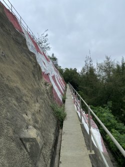 IMG_1388.jpeg IMG_1388.jpeg