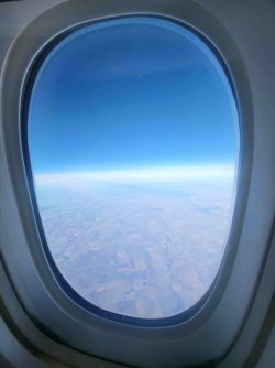 20240529_074757.jpg 20240529_074757.jpg